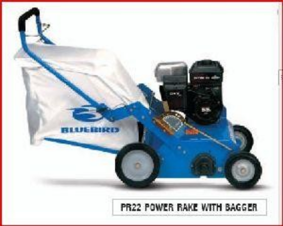 Picture of POWER RAKE - BLUEBIRD (BRIGGS)
