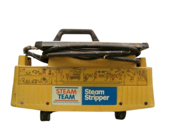 Picture of WALLPAPER STEAMER